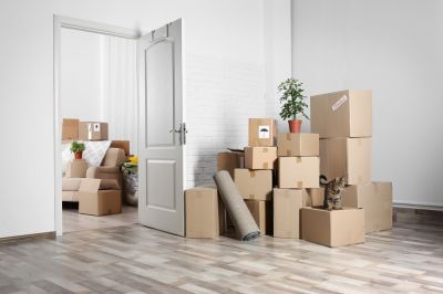 Foreclosure Clean Out - Junk Removal Estero, Florida