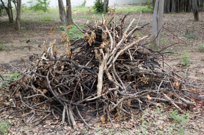 Yard Waste Removal - Junk Removal Estero, Florida